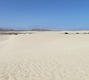 Sand nichts als Sand 