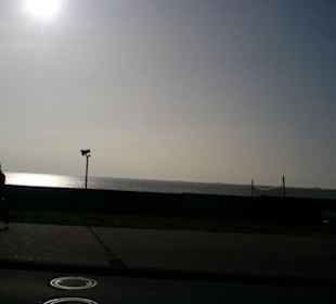 Tagesausflug: Fahrt mit der Fähre nach Föhr