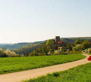 Wandern Werbach