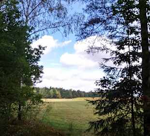 Kampinoski Park Narodowy