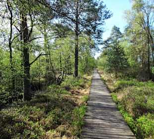 Impressionen vom Rundgang durch das Pietzmoor