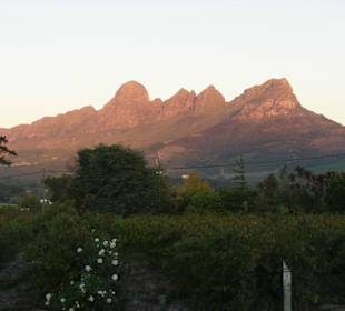 96 Winery Road