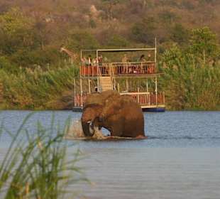 Schifffahrt auf dem Olifants River - La Lechere Guest House