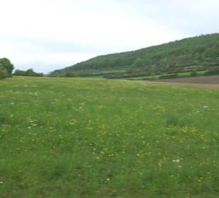 Kreuzweg St. Anna Salmendingen