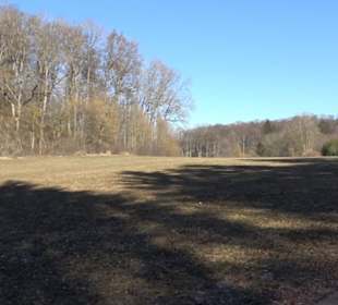 Burgruine Hohenstein