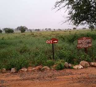 Sarova Salt Lick Game Lodge
