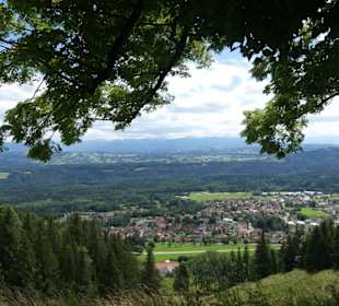 Ausblick in die Alpen