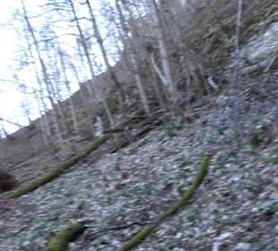 Wandertour Eppenzill