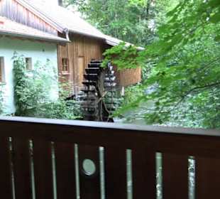 Tierpark Hellabrunn - Europa