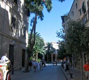 Die Kathedrale "La Seu"