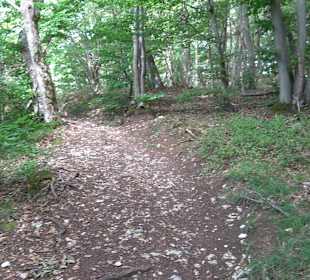 Tour entlang der Traifelbergfelsen