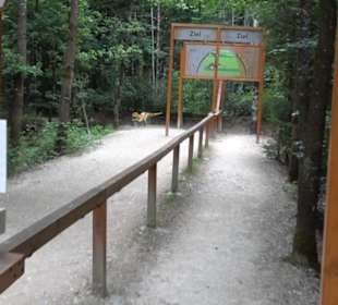 Dinosaurier Museum Altmühltal