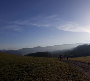 Wandern Kollnburg 