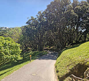 Botanischer Garten Wellington