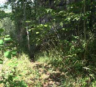 Burgruine Blankenstein