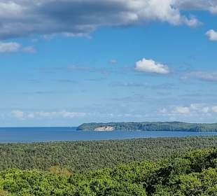 Blick über die Baumkronen