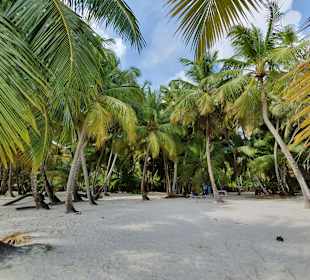 Isla Saona