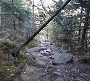 Riesengebirge/Karkonosze