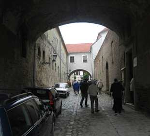 Hübscher Blick