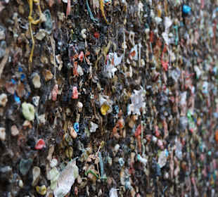 Bubblegum Alley 