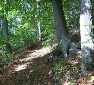 Premiumwanderweg hochgehkeltert