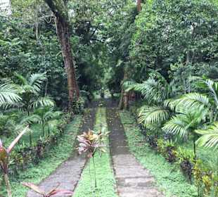 Wald
