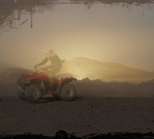 Bild vom Card Partner