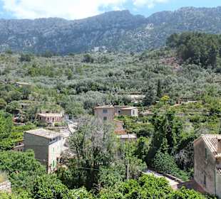 Blick auf den Ort und die Berge
