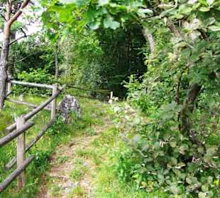 Am Abgrund Sicherheitszaun