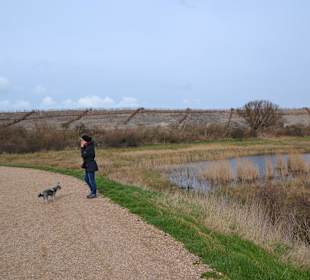 Weg zum Meer