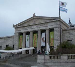 Shedd Aquarium