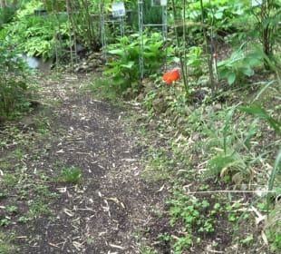 Mezger's Bürgle Park Salzstetten