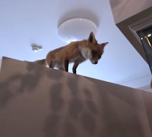 Museum für Naturkunde