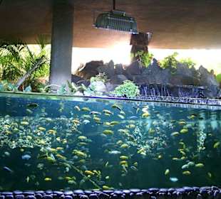 Palmitos Park - Aquarien