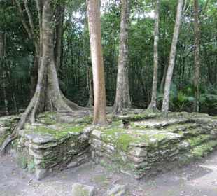 Ausflug mit Daniel zu den Maya Ruinen in Muyil