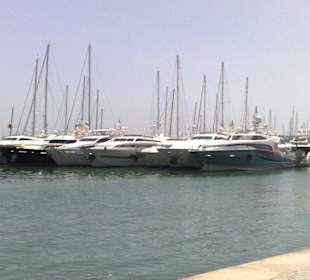 Yachthafen von Palma.