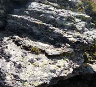 Abwechslung