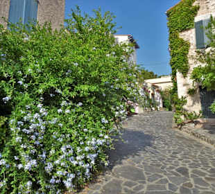 N den Gassen der Altstadt von Collioure