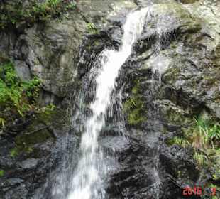 Tsitsikamma National Park