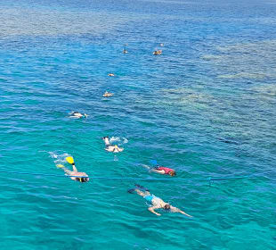 Tauchen Hurghada - Deutsche Tauchschule In Hurghada, Tauchku