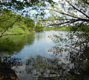 Naturschutzgebiet Boberger Niederung