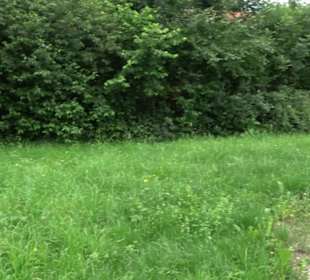 Pavillon im Lustgarten