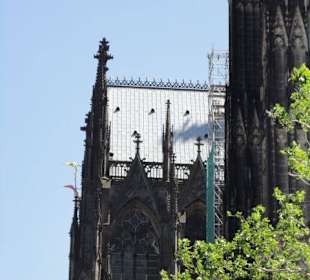 Kölner Dom