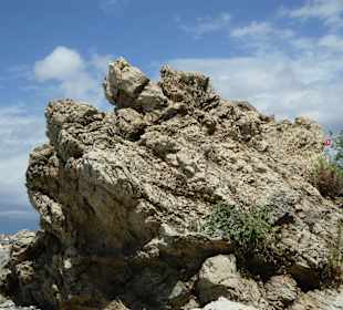 Beim Standspaziergang gesehen
