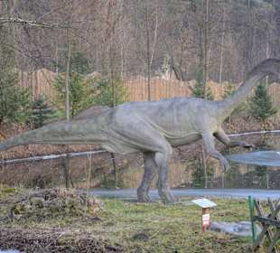 Atrakcja w Bałtowie