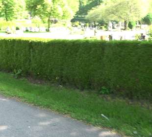 Friedhof Horb am Neckar