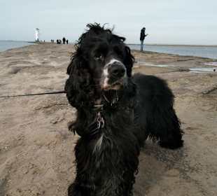 Zielpunkt erreicht... 😚