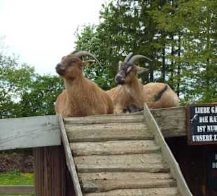 Karls Erlebnishof-Warnsdorf