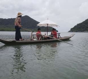 Auf dem Boot durch den Mangrovenwald