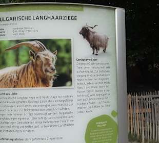 Tierpark Hellabrunn